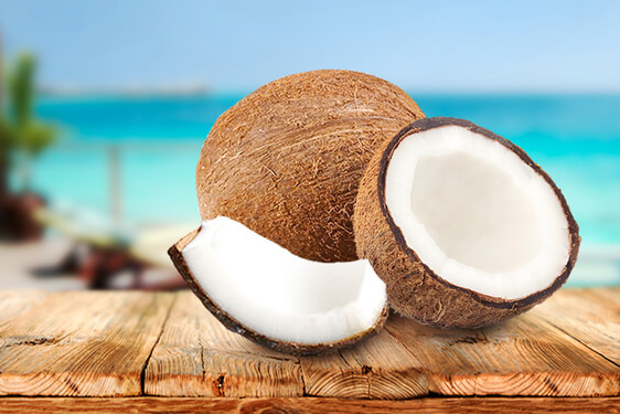 Cocco