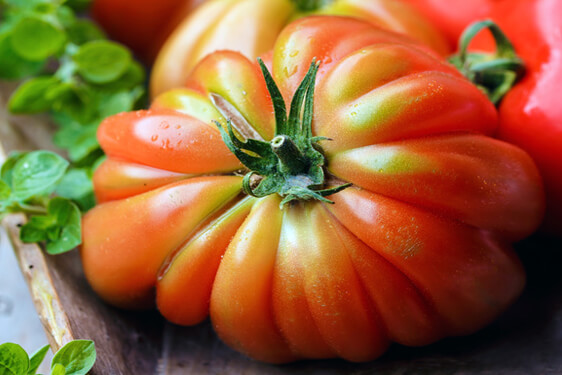 Pomodoro Cuore di Bue