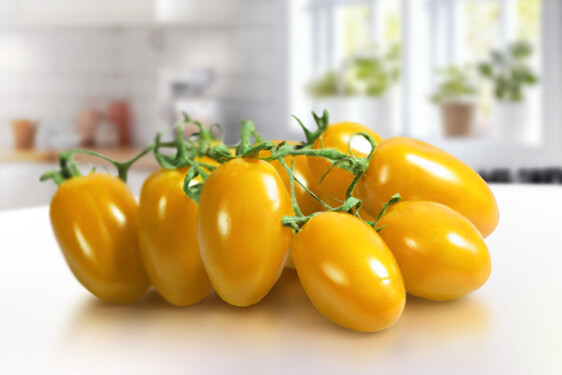 Pomodoro datterino giallo