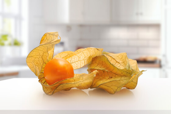 Physalis