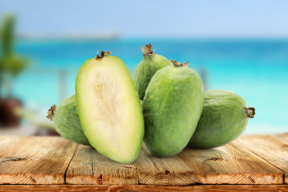 Feijoa