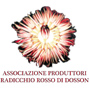 35a Festa del Radiccio Rosso di Treviso IGP a Dosson