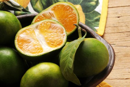 Mapo - Citrus tangelo