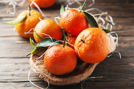 Mandarino - Citrus reticulata