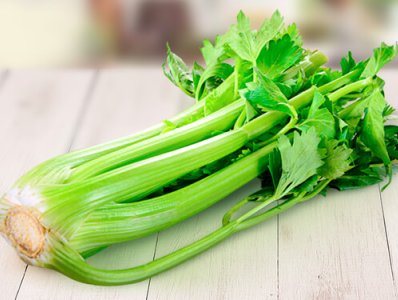 Sedano Verde