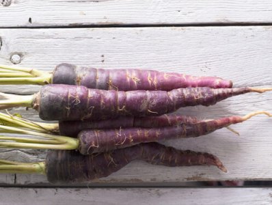 Carota Viola