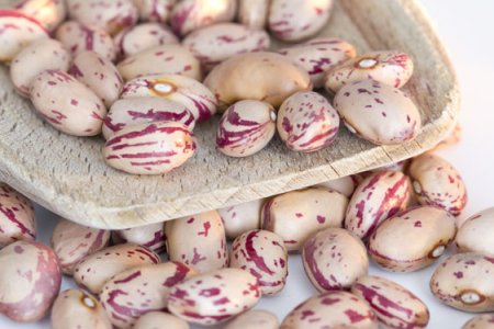 Fagioli Cuneo IGP