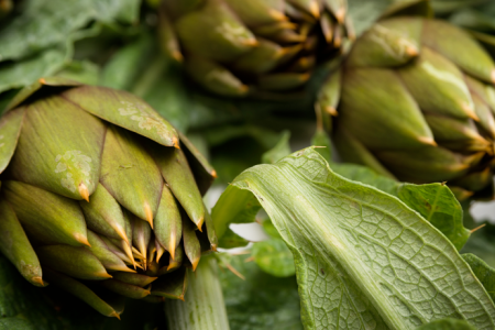 Carciofo spinoso di Sardegna DOP