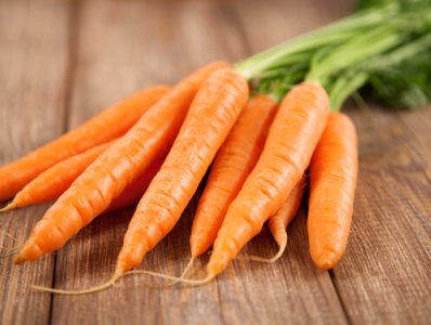 Carota - Daucus carota