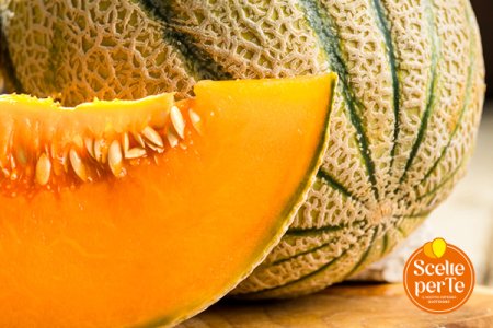 Melone Retato Top Melon
