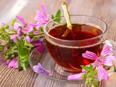 Infuso alla Malva