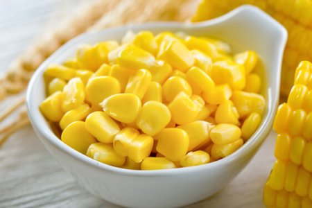 Mais - Zea mays L.