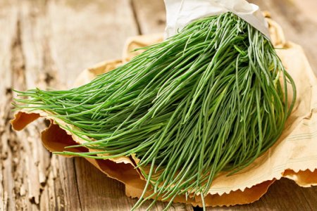 Agretti (o barba di frate)