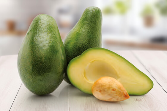 Avocado - Persea americana Mill.