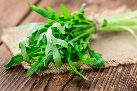 Rucola - Eruca vesicaria