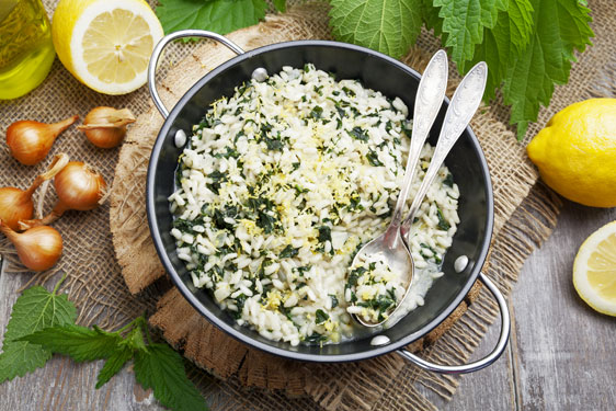 Risotto all'Ortica e Limone
