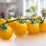 Pomodoro ciliegino giallo