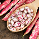 borlotti