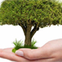 Giornata Nazionale degli Alberi