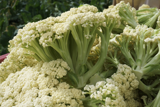 Cavolfiore Fioretto®. Fior di Cavolfiore.