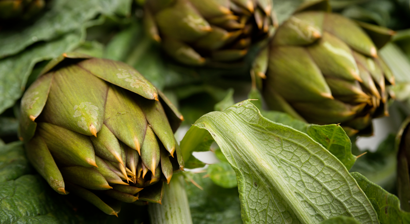 Carciofo spinoso di Sardegna DOP