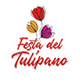 Festa del Tulipano