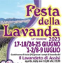 Festa della Lavanda
