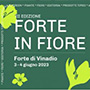 Forte in Fiore