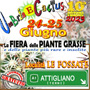 Umbria e Cactus