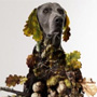 Fiera Nazionale del Tartufo Bianco di Acqualagna