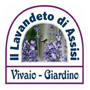 Festa delle Salvie