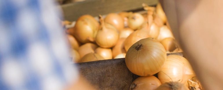 Usare bucce di cipolla come fertilizzante per piante e fiori