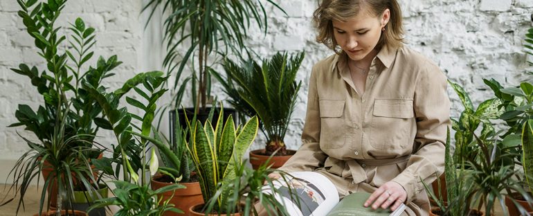 Il Calendario del Giardiniere: L’Agenda Verde Mese per Mese