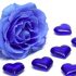 Come colorare una rosa di blu