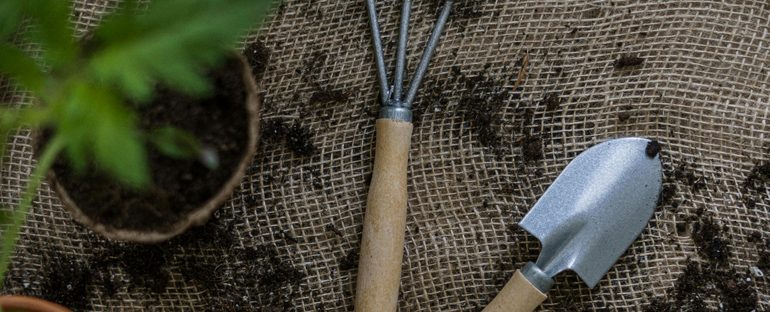 Guida alla manutenzione degli attrezzi da Giardinaggio in inverno