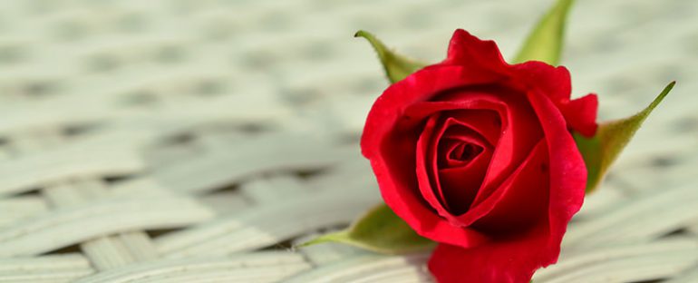 Rose per San Valentino