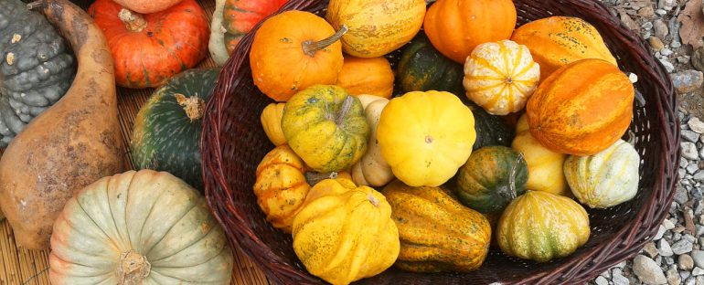 Colori d’autunno: la zucca